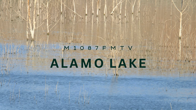 Discovering the Wild Side of Alamo Lake, Arizona  in our Converted Military Truck.